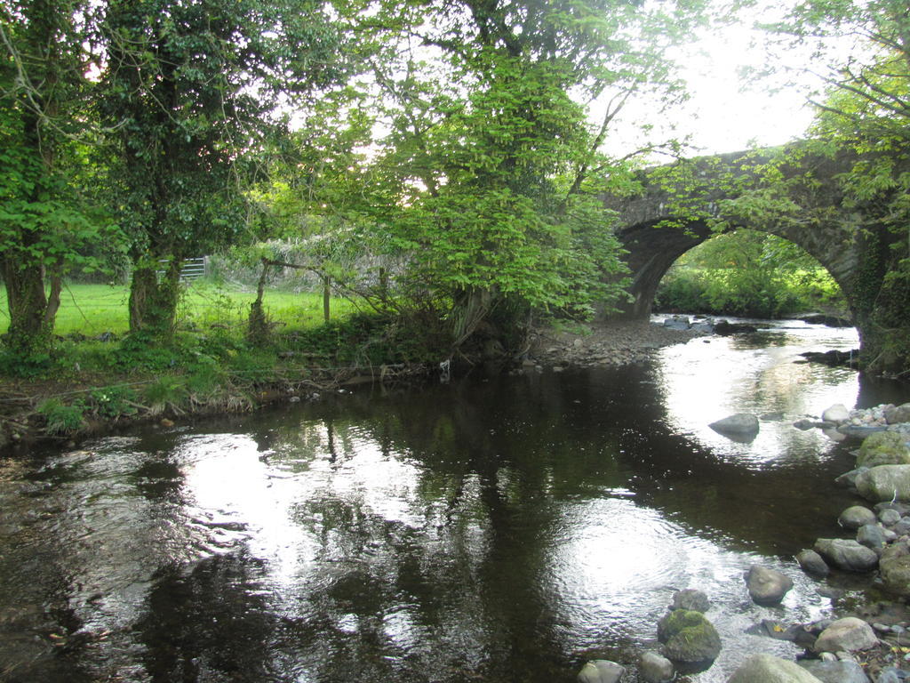 Riverside Lodge Carlingford Exteriör bild
